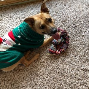 Meet your Posher, Deborah